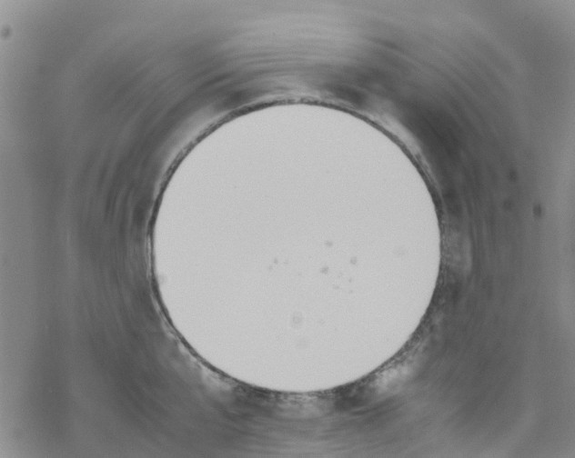 X0000067950807200605112124