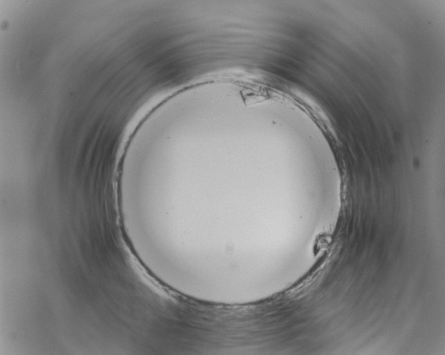 X0000067950808200605112124