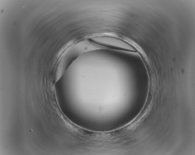 X0000067950809200605112124