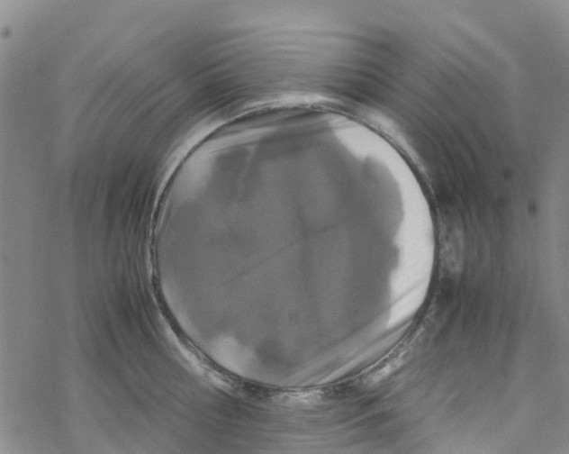 X0000067950810200605112124