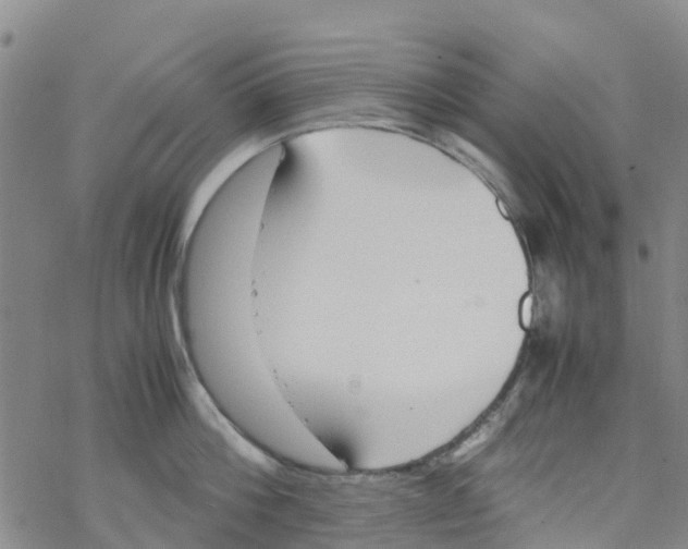 X0000067950812200605112124