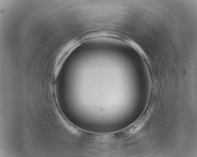 X0000067950813200605112124