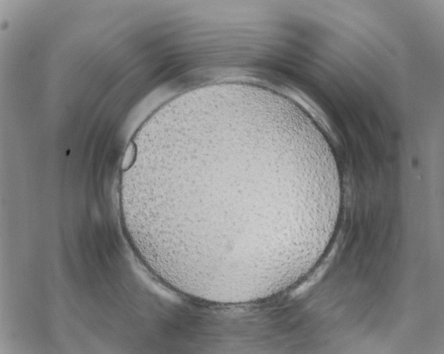 X0000067950814200605112124