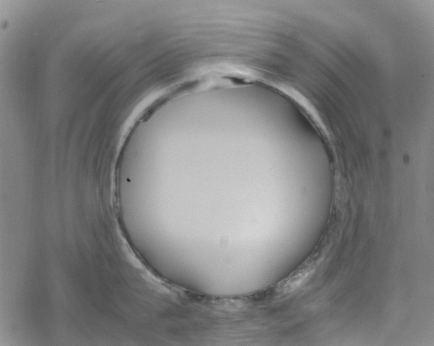 X0000067950815200605112124