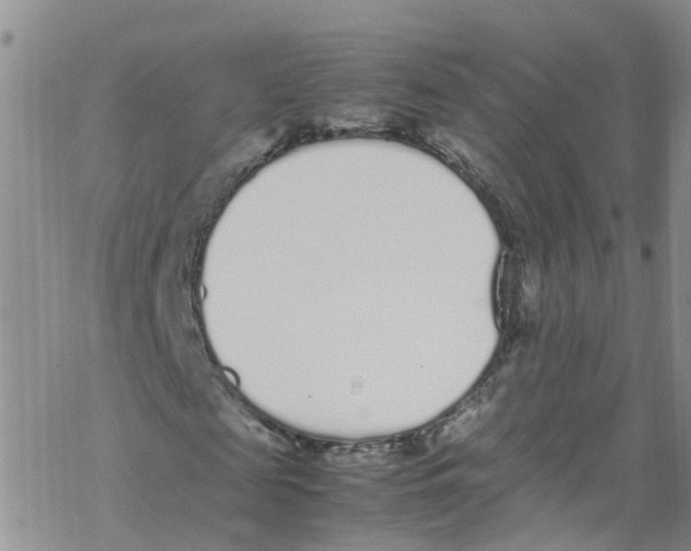 X0000067950817200605112123