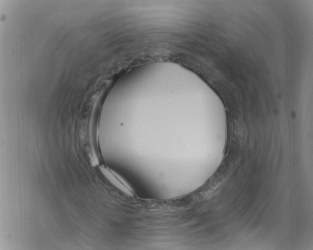 X0000067950818200605112123