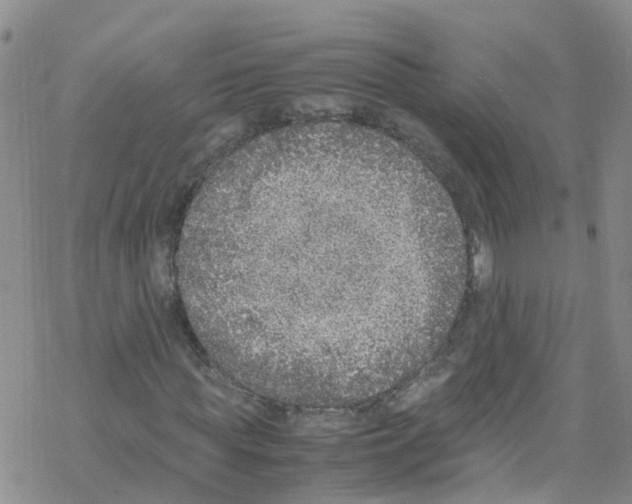 X0000067950819200605112123