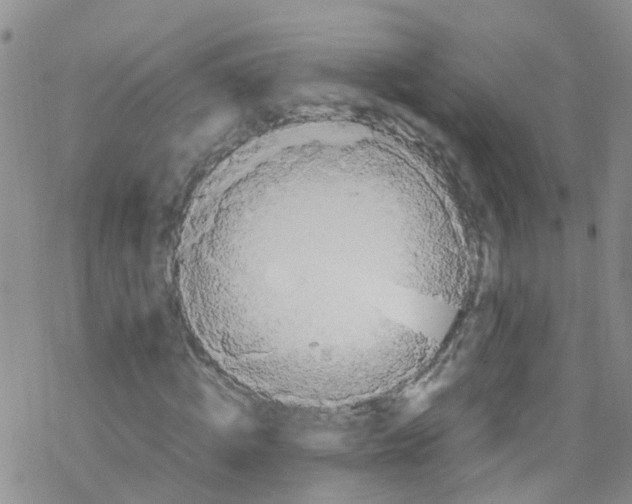 X0000067950820200605112123