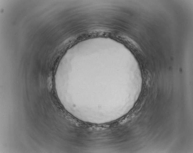 X0000067950821200605112123