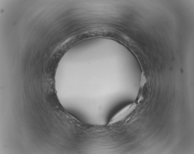 X0000067950822200605112123