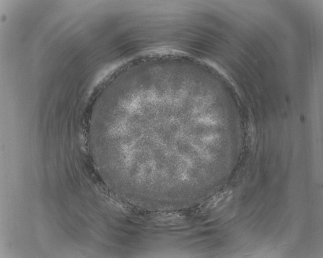 X0000067950823200605112123