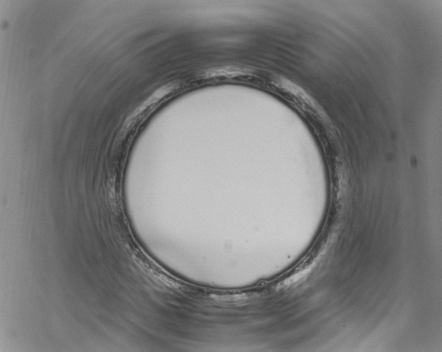 X0000067950825200605112123