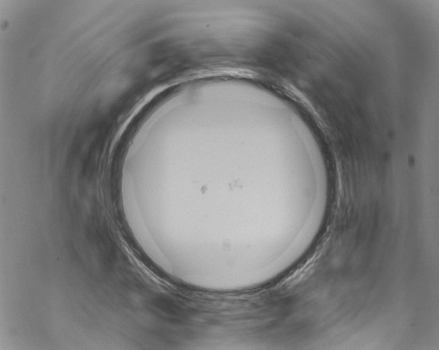 X0000067950828200605112123