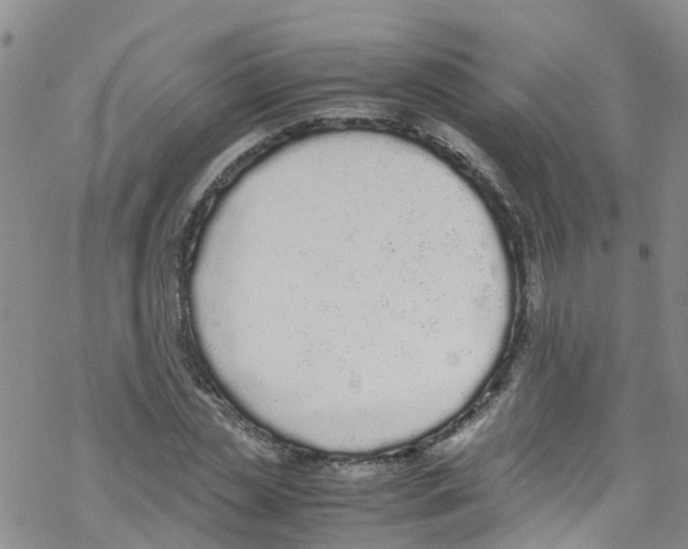 X0000067950829200605112123