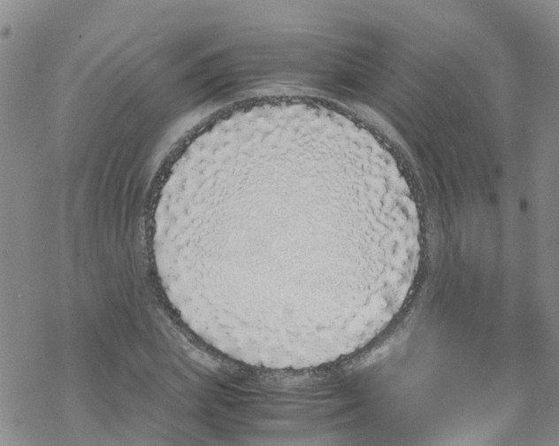 X0000067950831200605112123