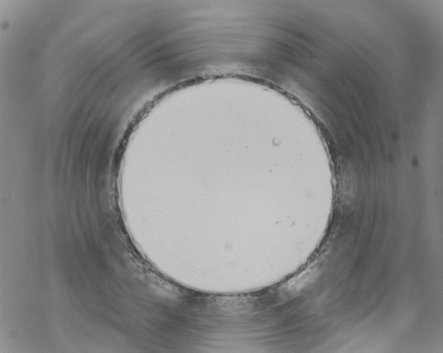 X0000067950832200605112123