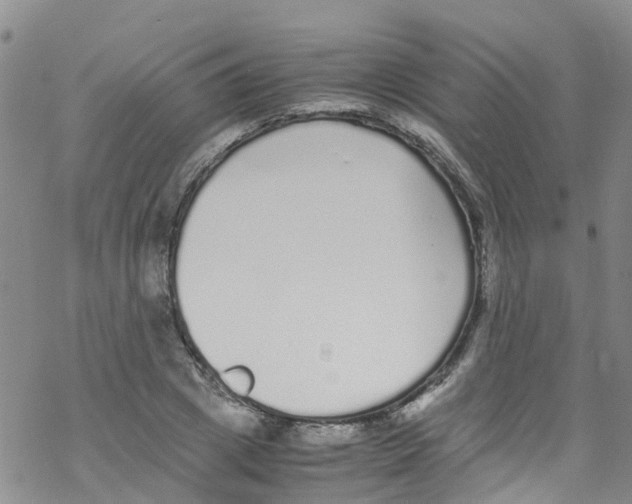 X0000067950833200605112123