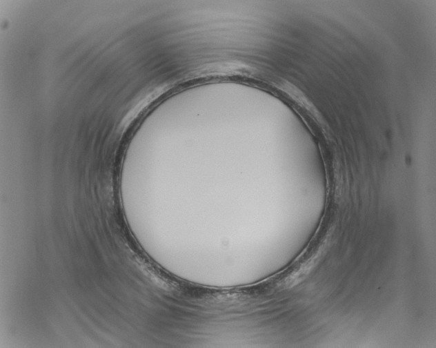 X0000067950834200605112123