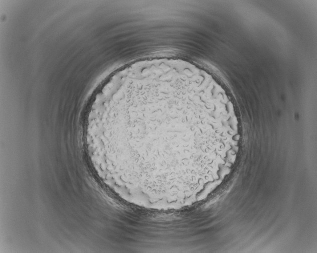 X0000067950835200605112123