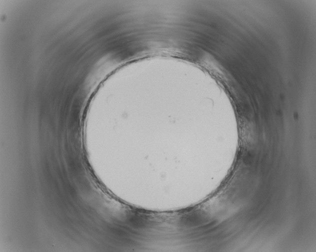 X0000067950836200605112123