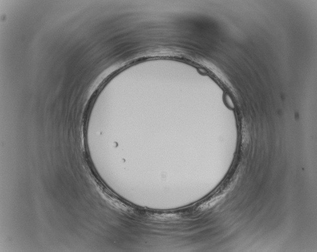 X0000067950837200605112123