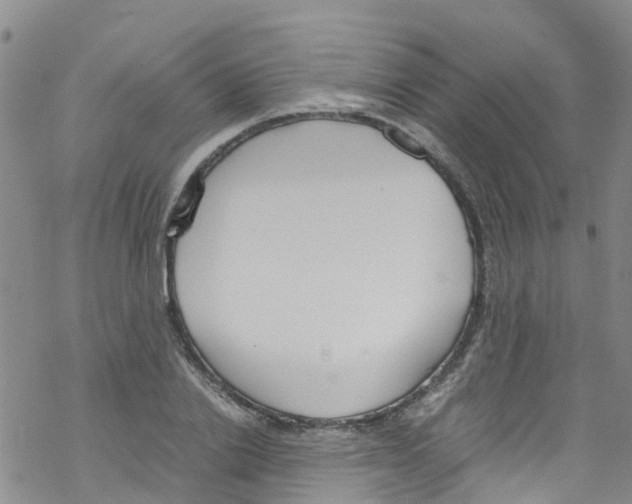 X0000067950838200605112123