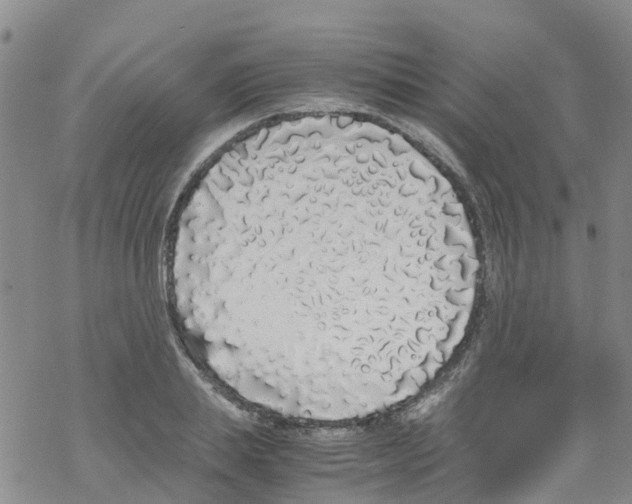 X0000067950839200605112123