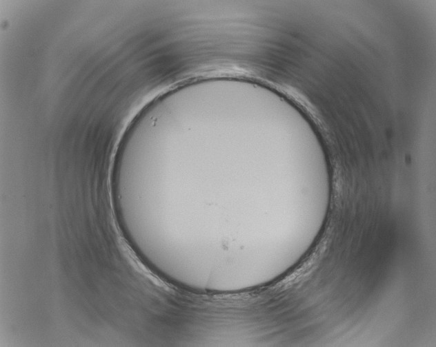 X0000067950840200605112123