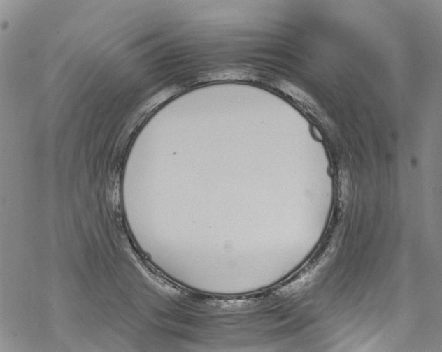 X0000067950841200605112123