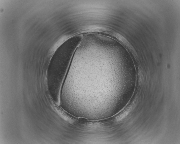 X0000067950842200605112123