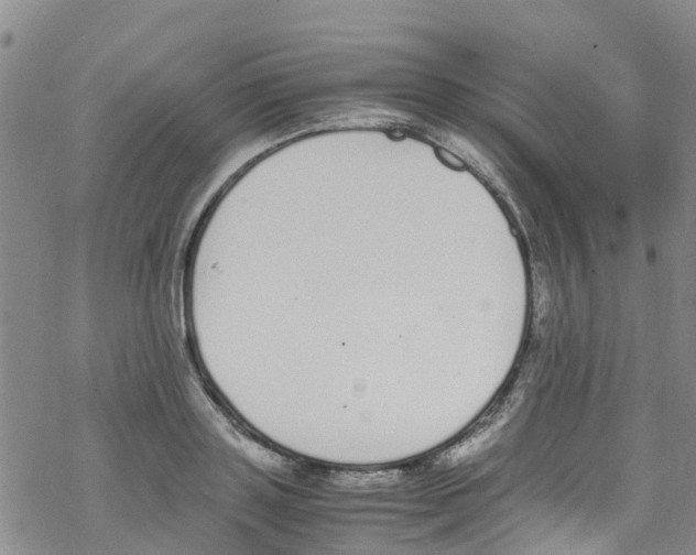 X0000067950843200605112123