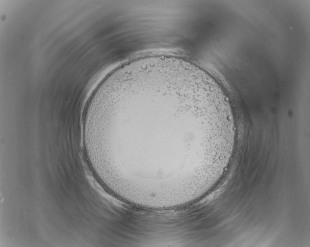 X0000067950844200605112123