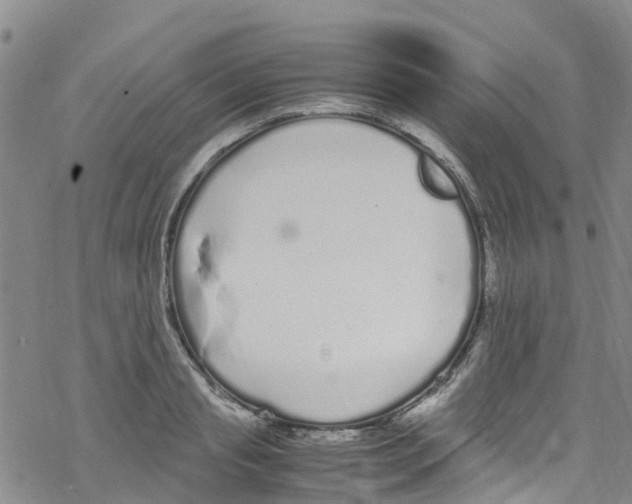 X0000067950845200605112123