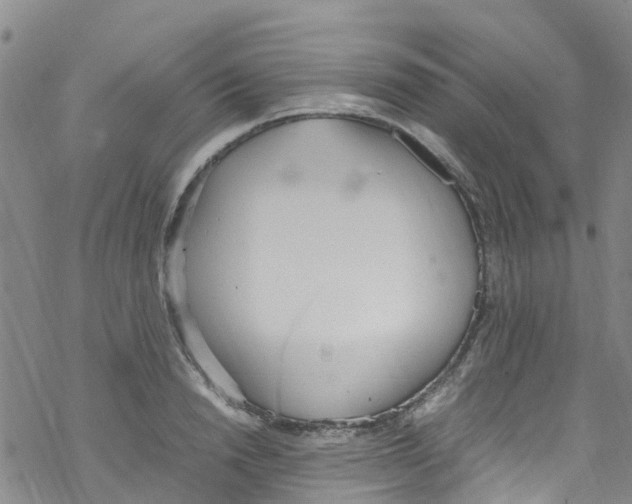 X0000067950846200605112123