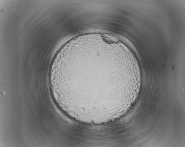 X0000067950847200605112123