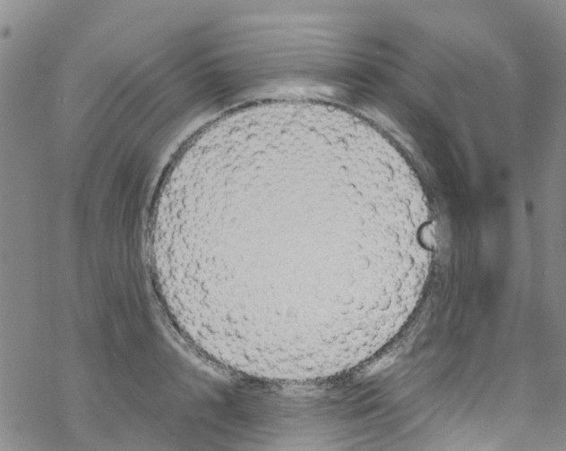 X0000067950848200605112123