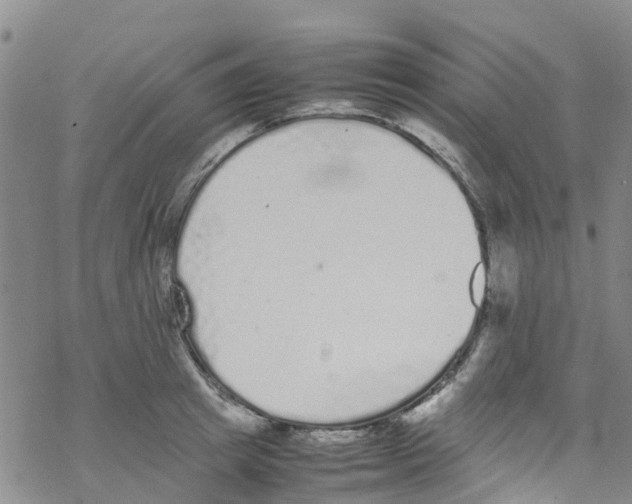 X0000067950849200605112123