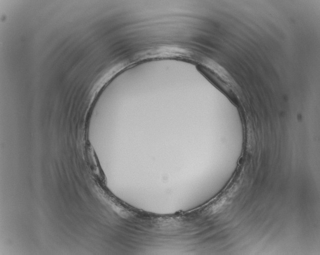 X0000067950850200605112123