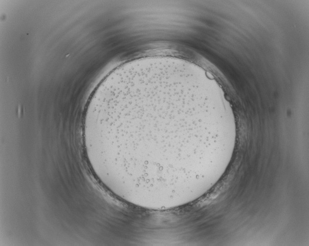 X0000067950852200605112123