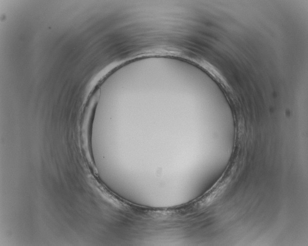 X0000067950854200605112124