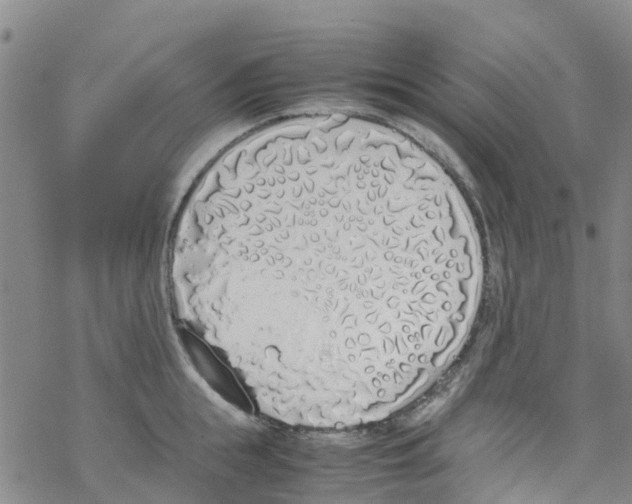 X0000067950855200605112124