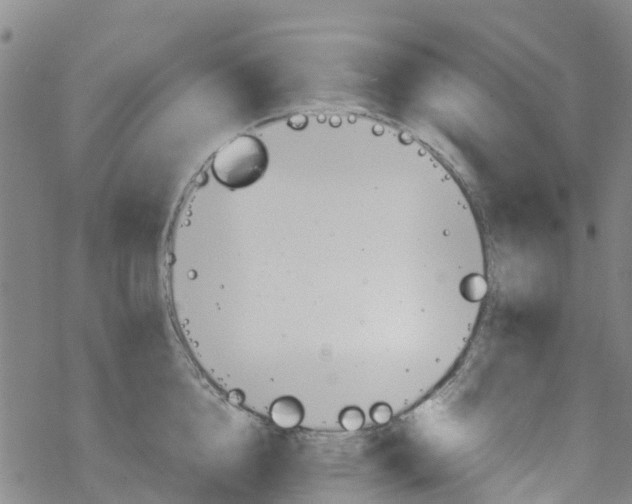 X0000067950856200605112124