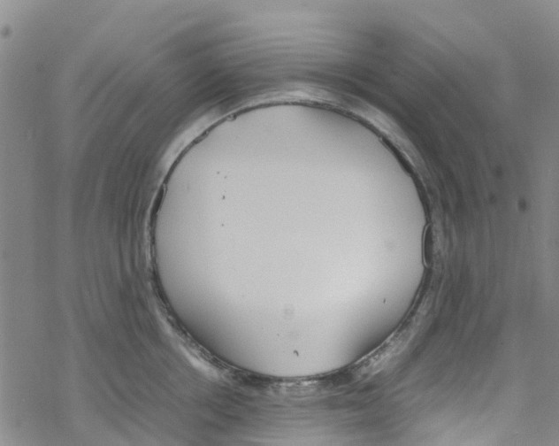 X0000067950858200605112124