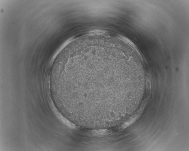 X0000067950859200605112124