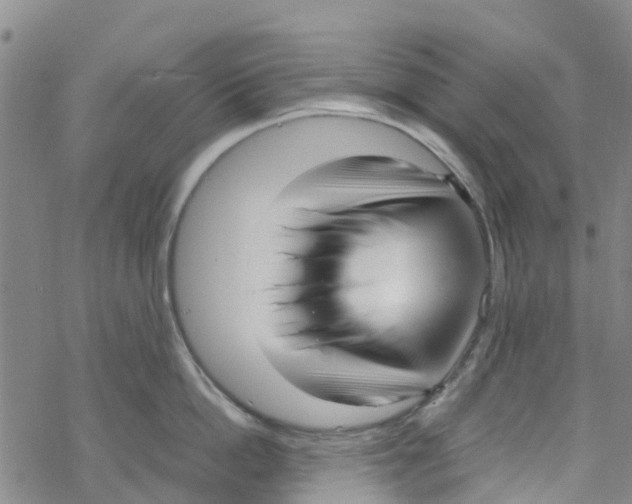 X0000067950862200605112124