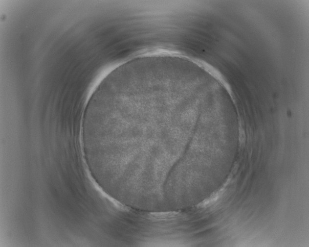 X0000067950863200605112124