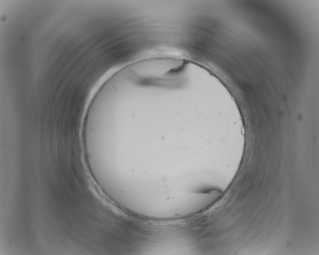 X0000067950864200605112124