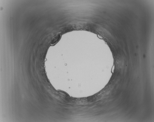 X0000067950865200605112123