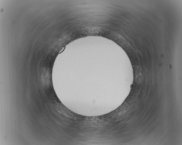 X0000067950866200605112123