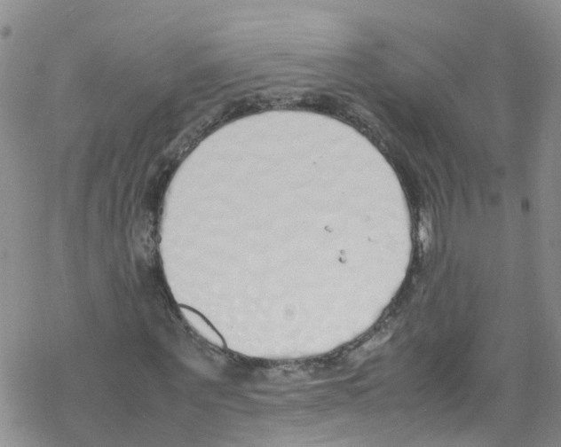 X0000067950867200605112123